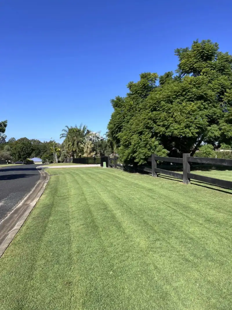 Freshly mown and edged nature strip after lawn mowing in Redcliffe