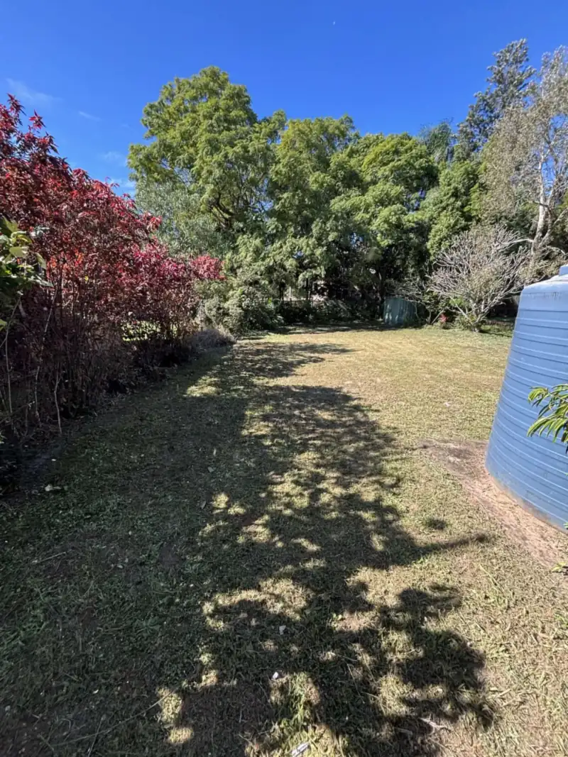 Garden cleanup Moreton Bay: overgrown yard cleared, weeded and tidied under established trees