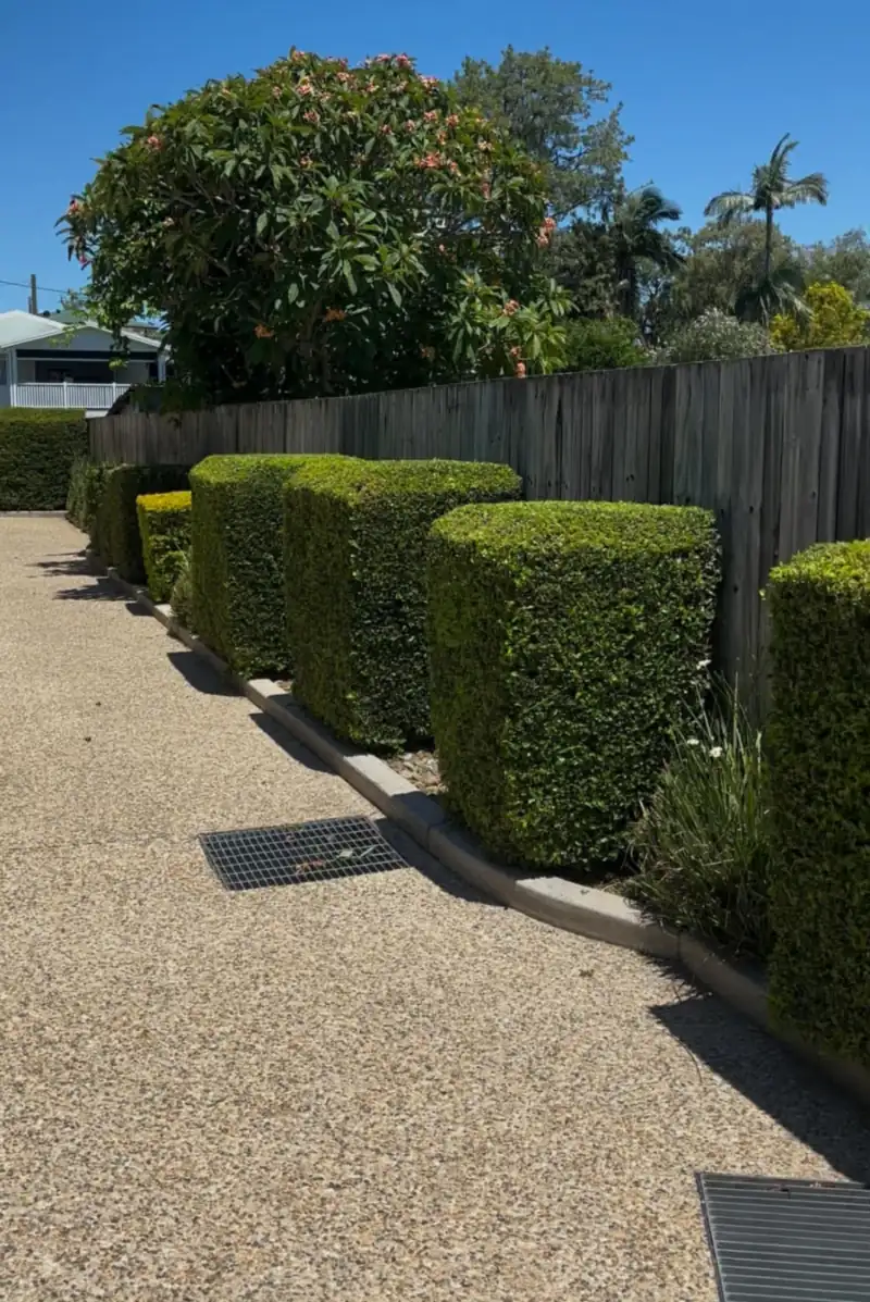 Trimmed hedges and tidy beds at a Moreton Bay townhouse complex on a garden maintenance round