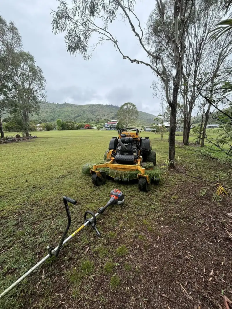 Ride-on acreage mowing under gum trees on a lifestyle block in Wamuran
